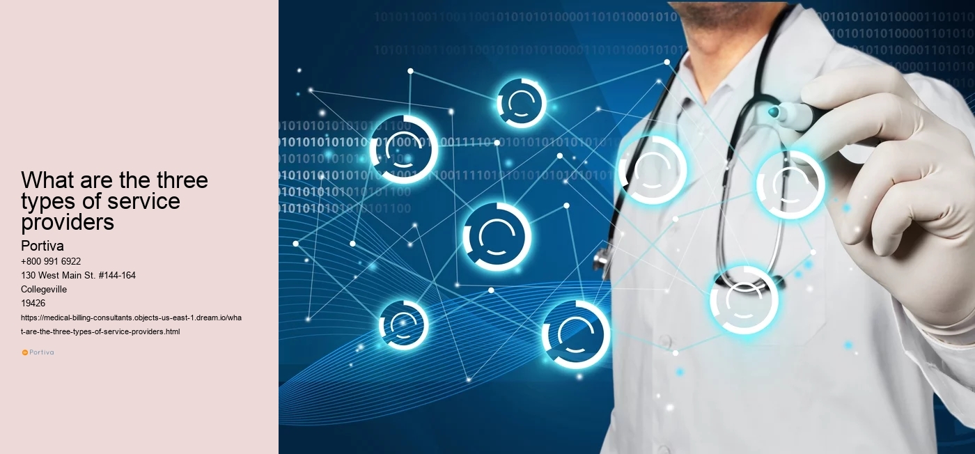 What are the three types of service providers